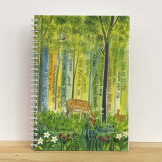 Hannah Dunnett Peace of God notebook updated design